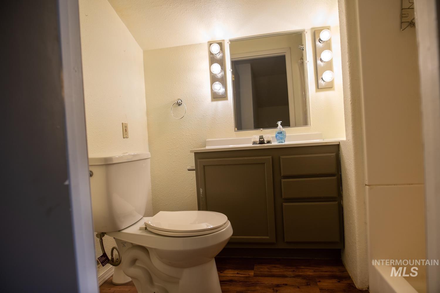 Bathroom featuring wood finished floors, vanity, and vaulted ceiling