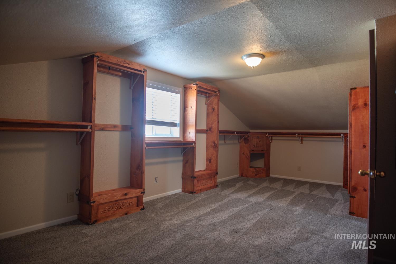 Walk in closet featuring lofted ceiling and carpet floors