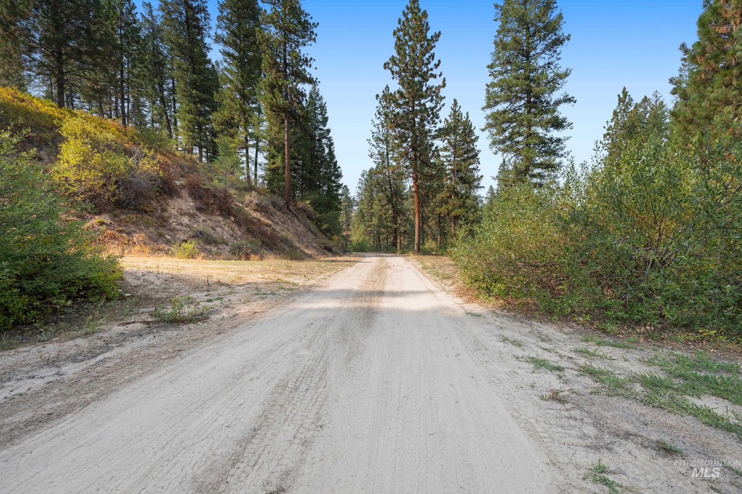 View of dirt / gravel road with a wooded view