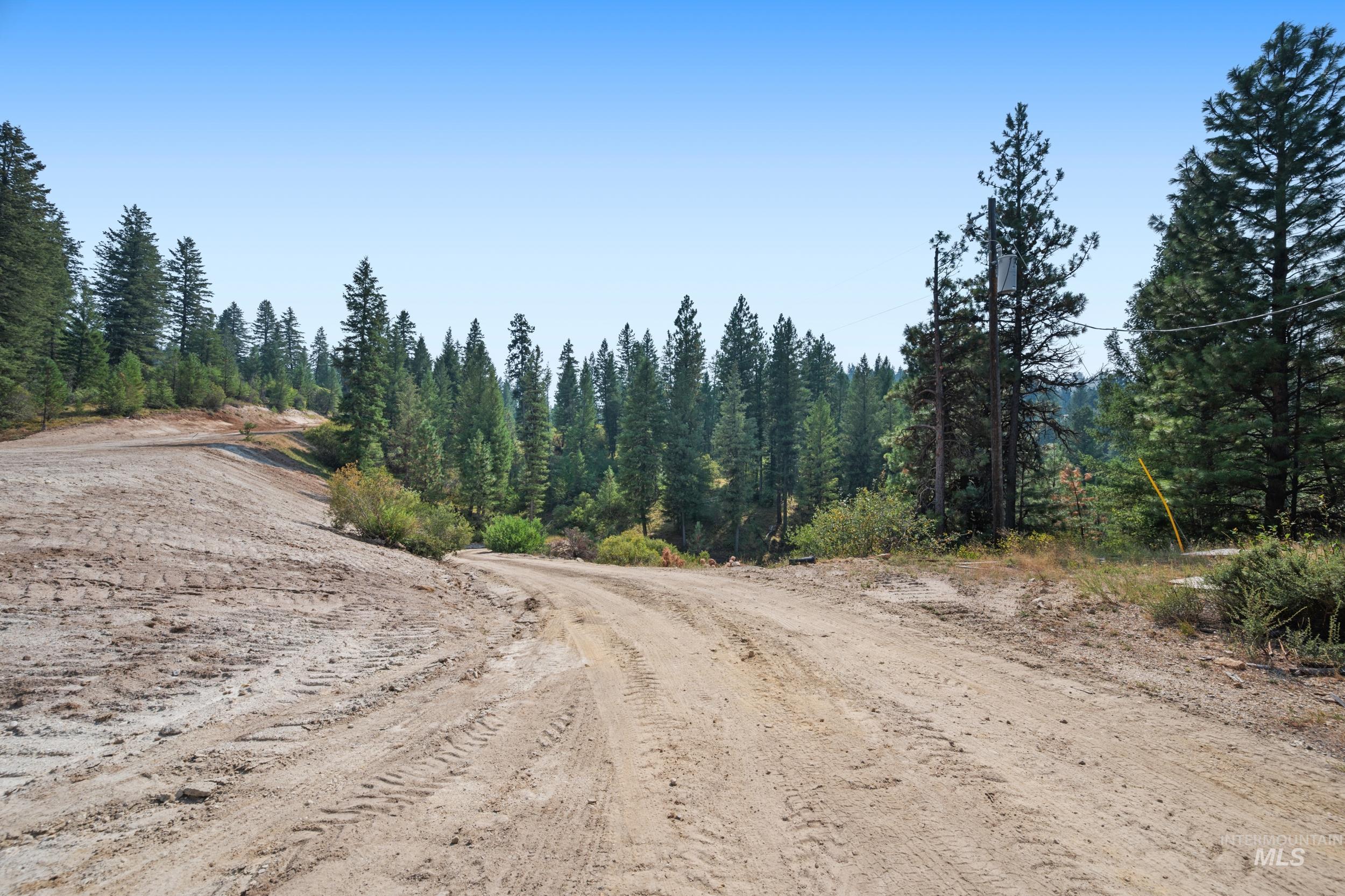 View of dirt / gravel road featuring a wooded view