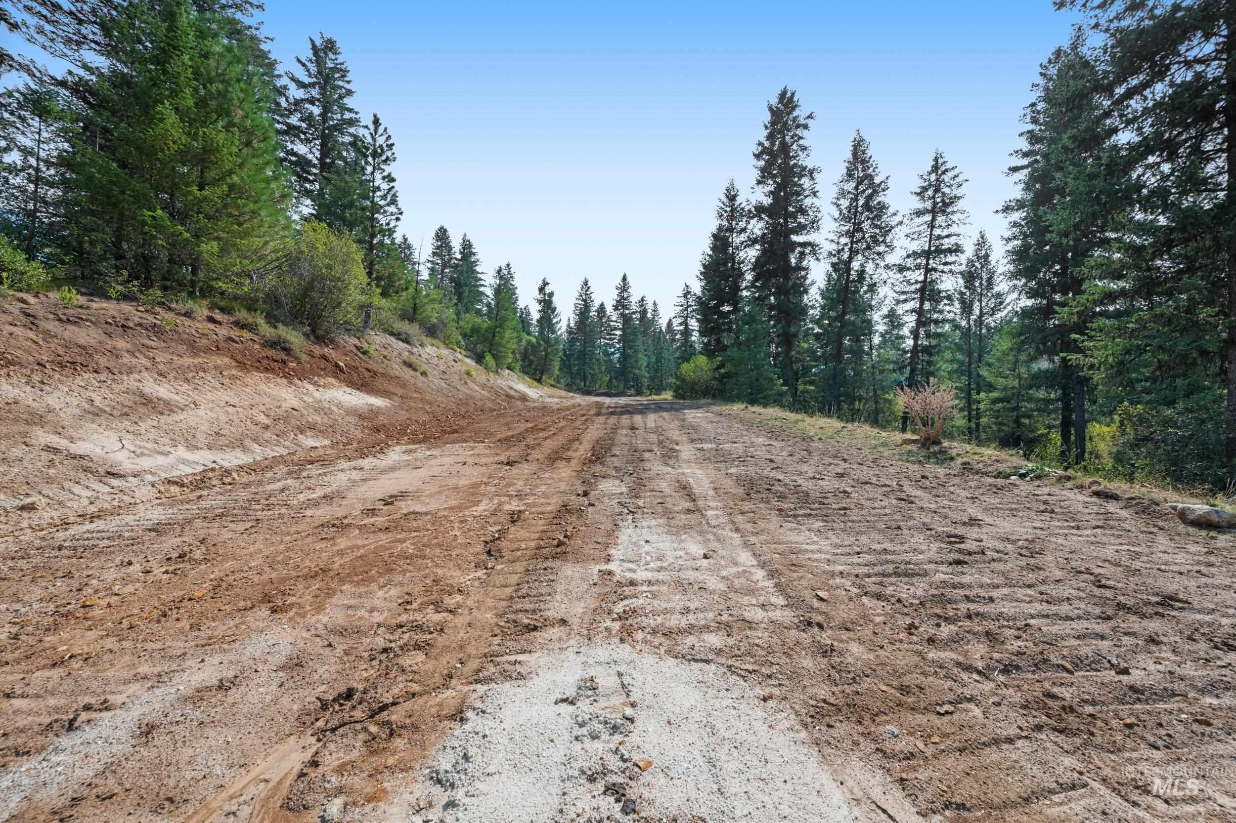 View of dirt / gravel road featuring a forest view