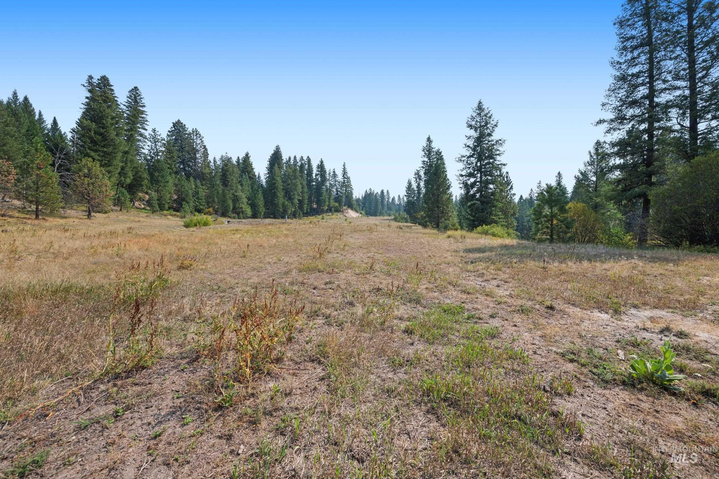 View of woods featuring a view of rural / pastoral area