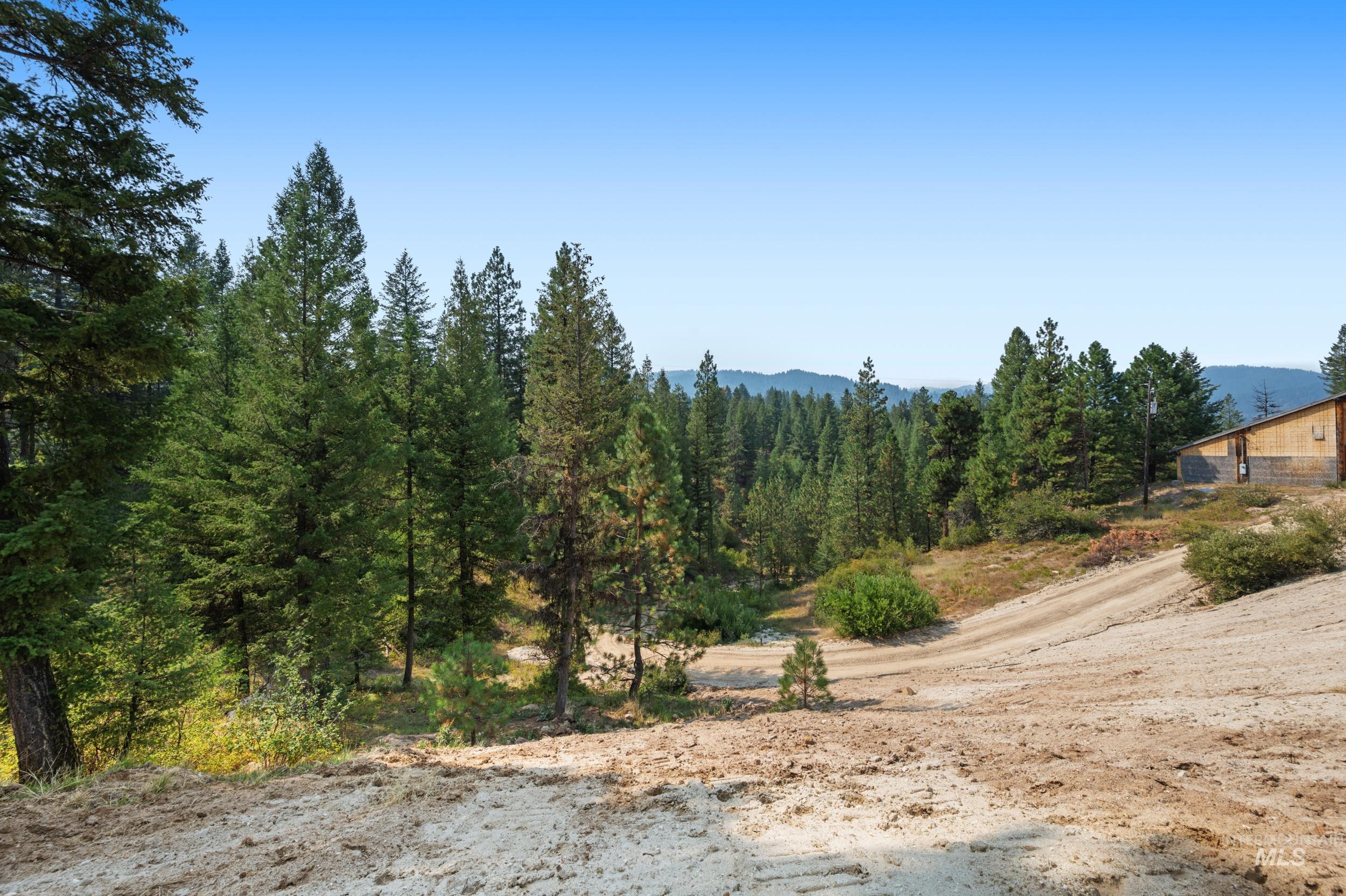 View of tree filled area
