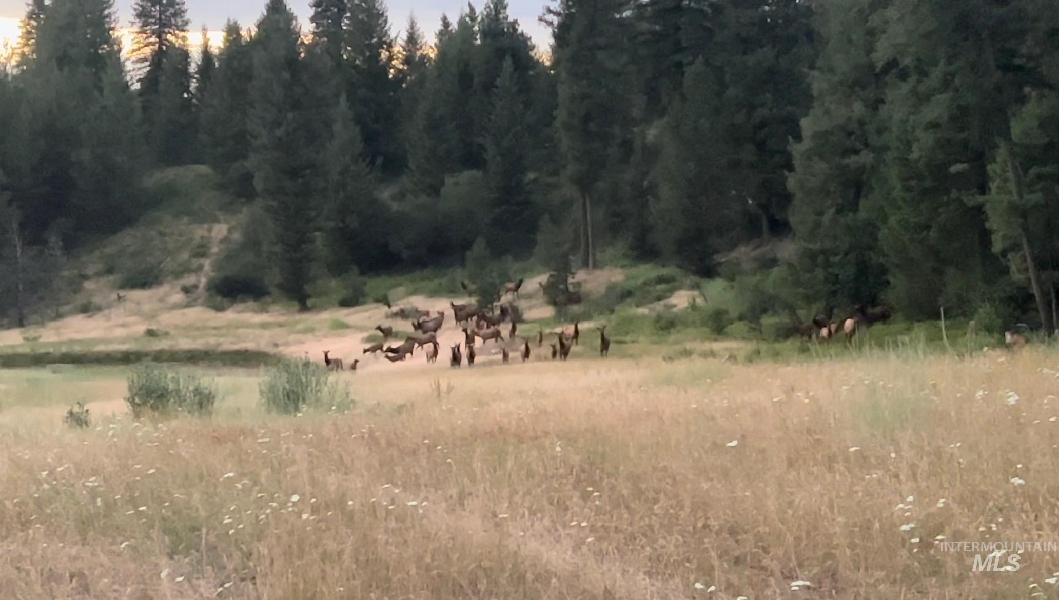 View of local wilderness