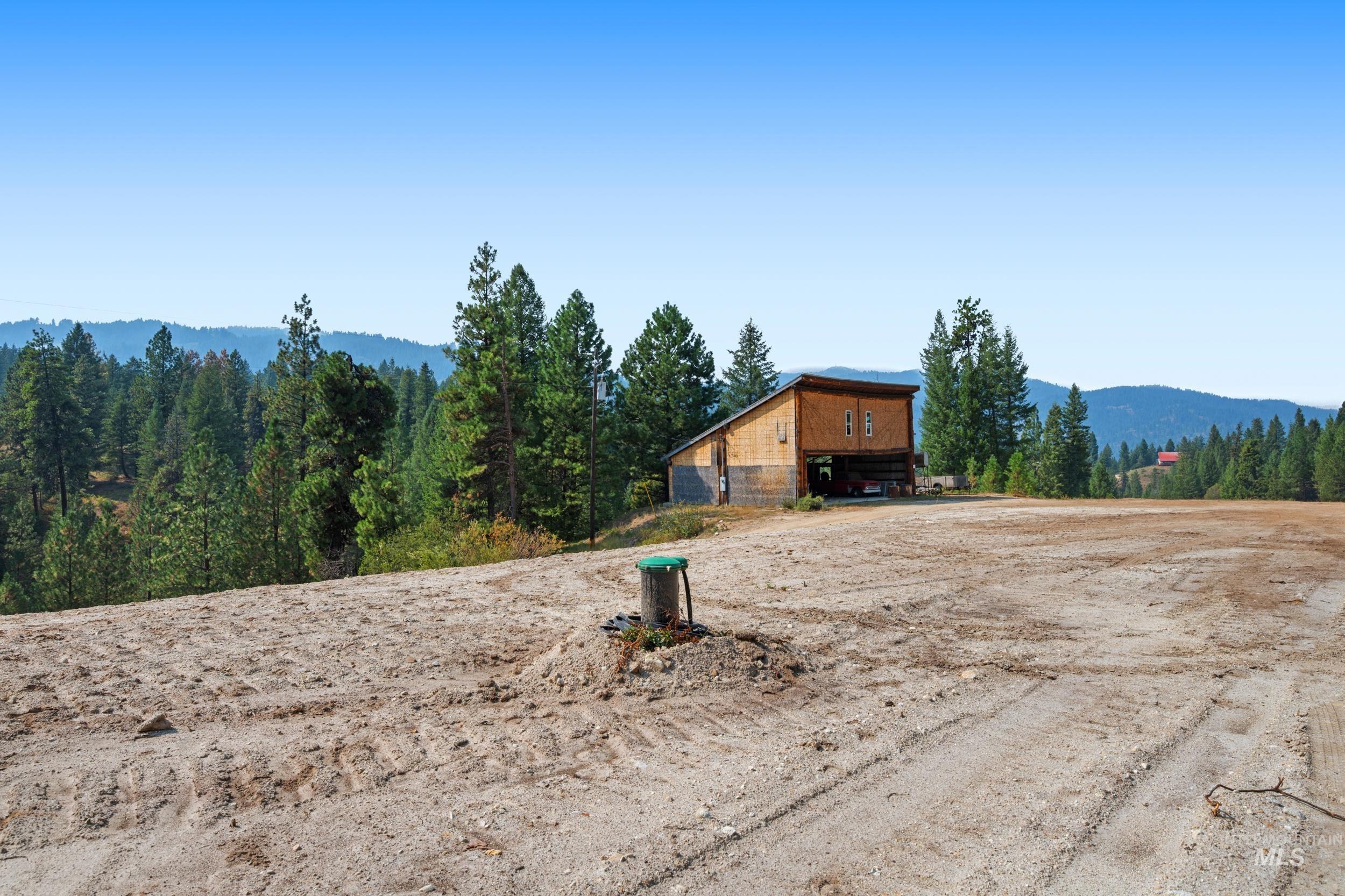 View of yard featuring a mountain view and a view of trees