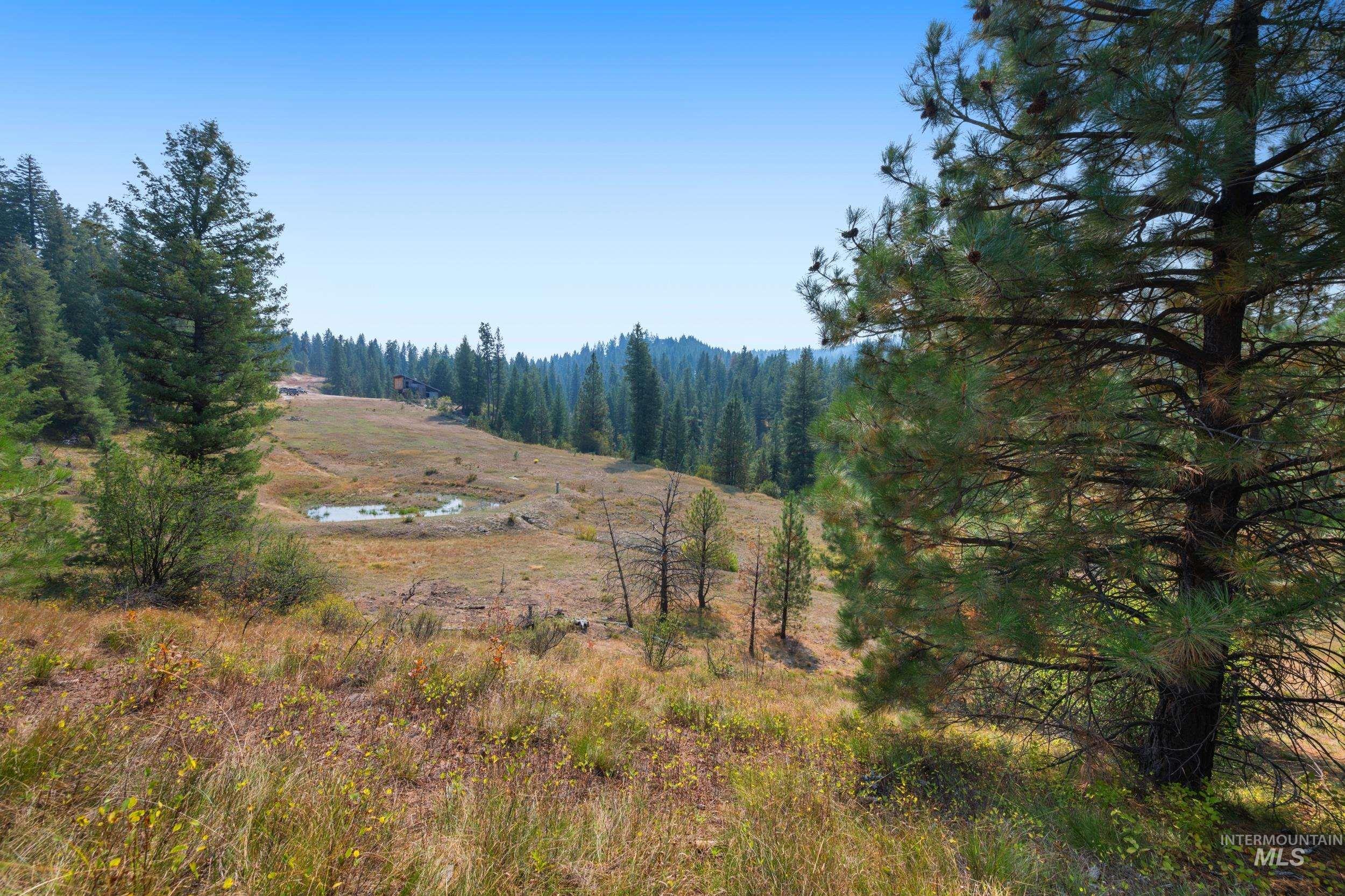 View of yard with a forest view