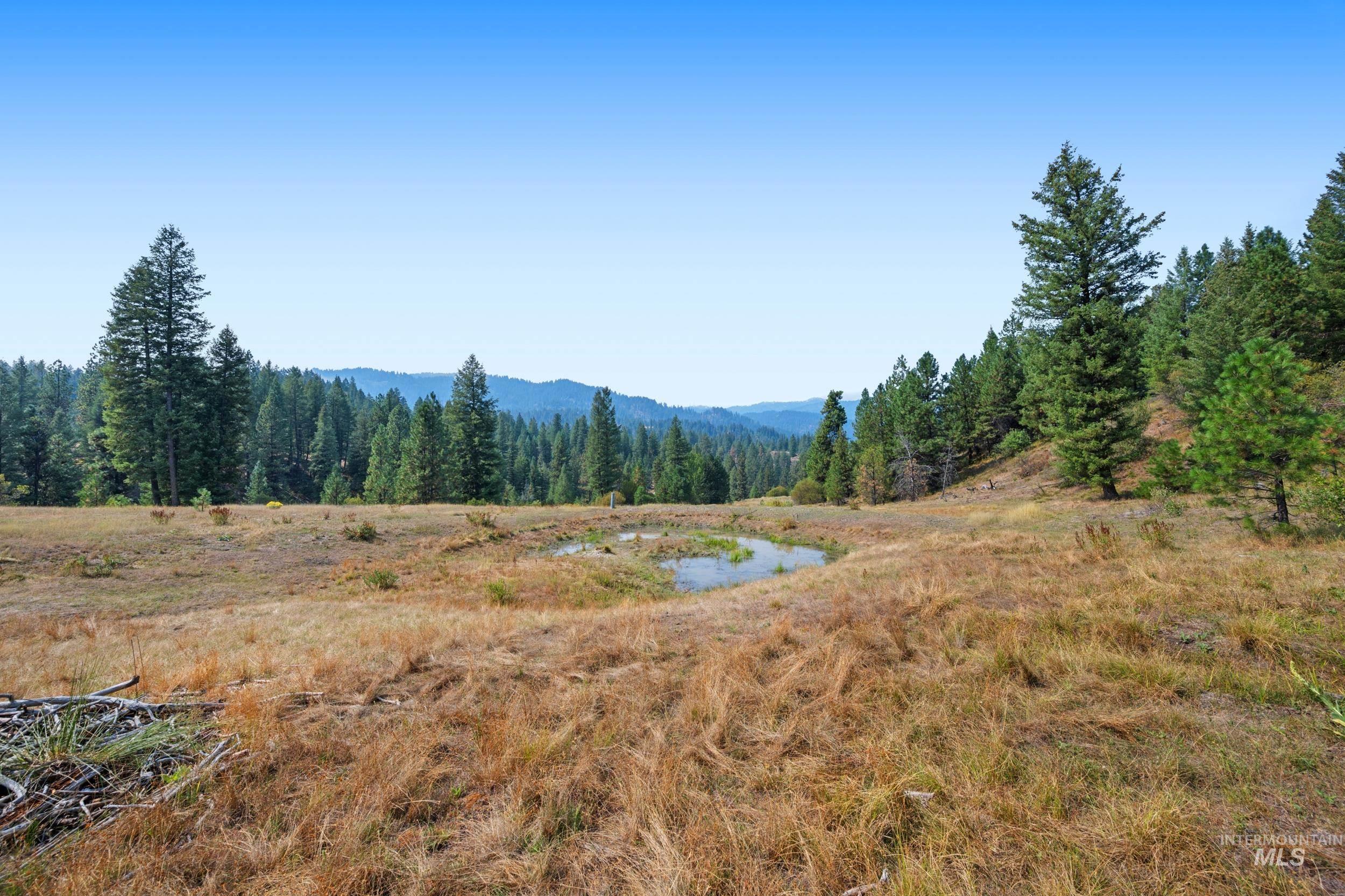 View of mountain background with a nearby body of water and a heavily wooded area