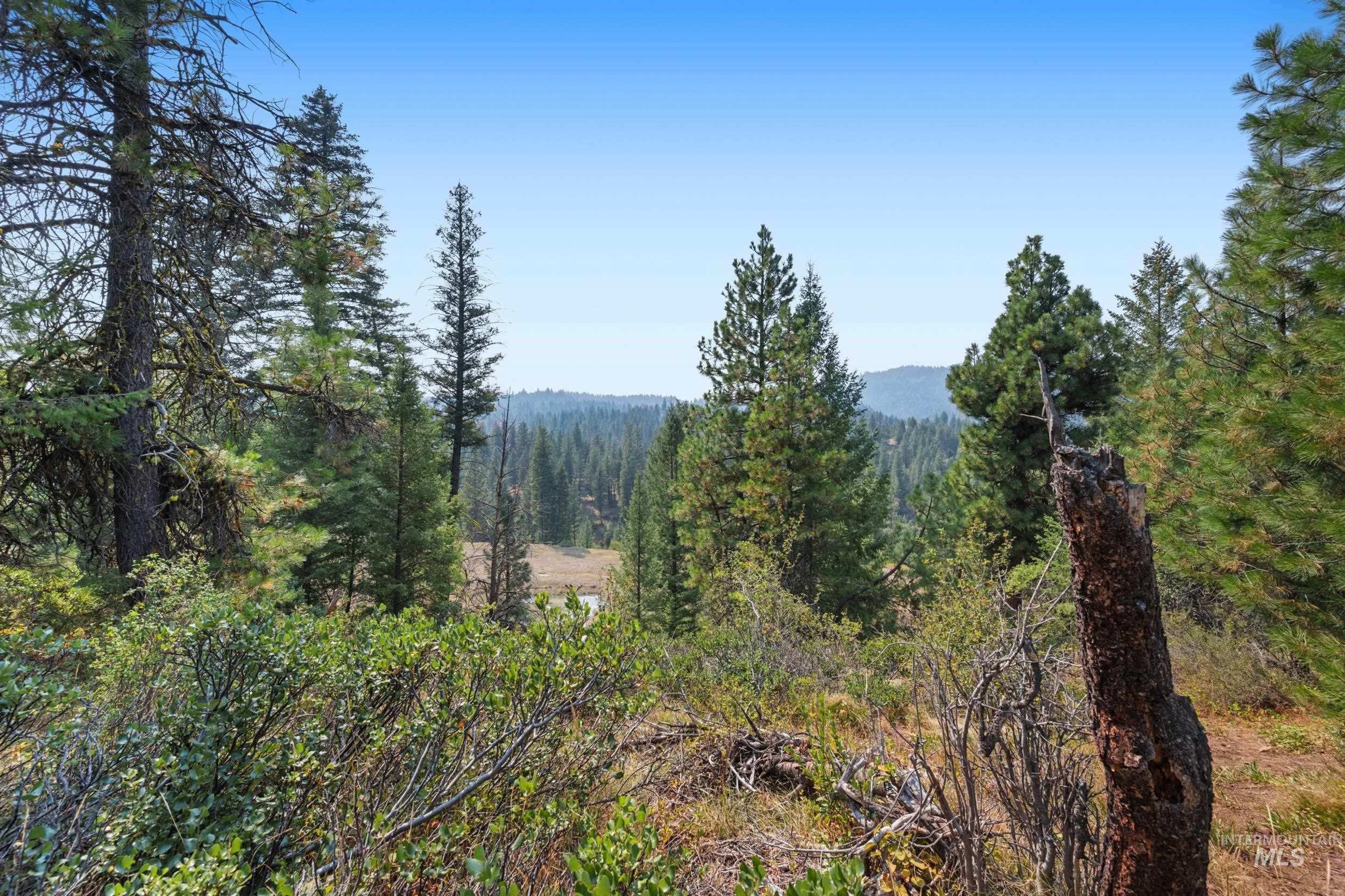 View of mountain backdrop with a forest