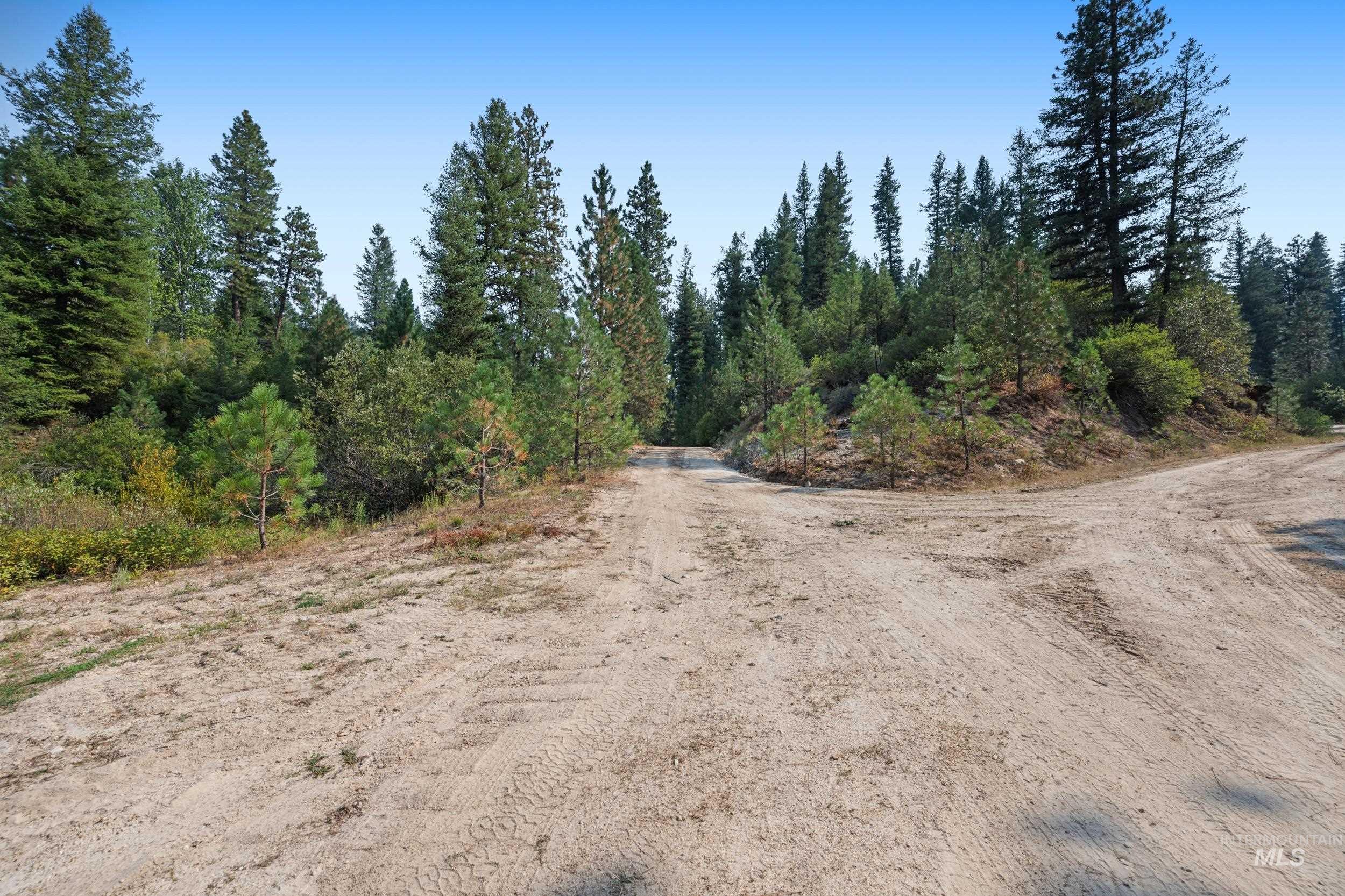 View of dirt / gravel road with a forest view
