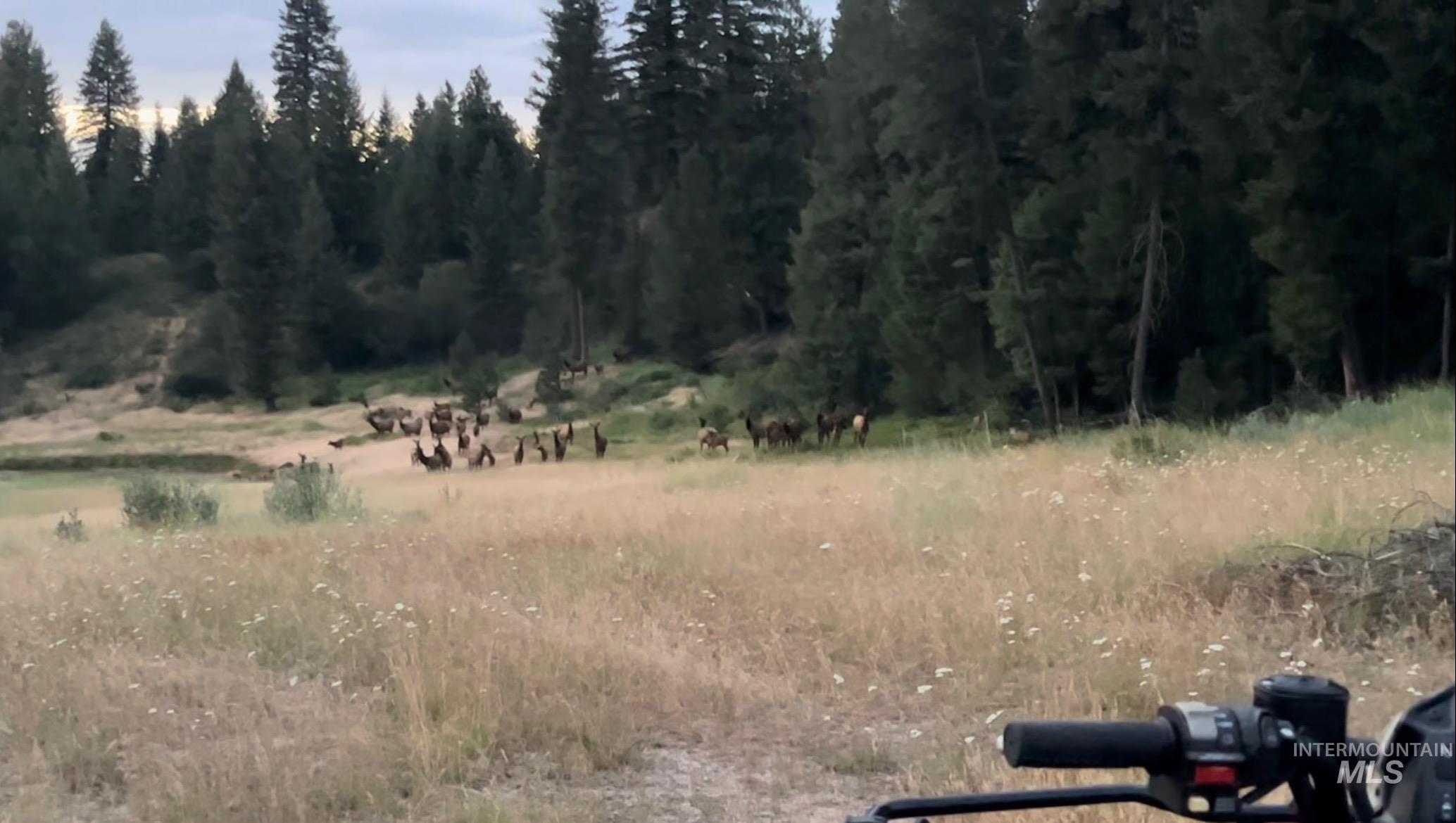 View of undeveloped land