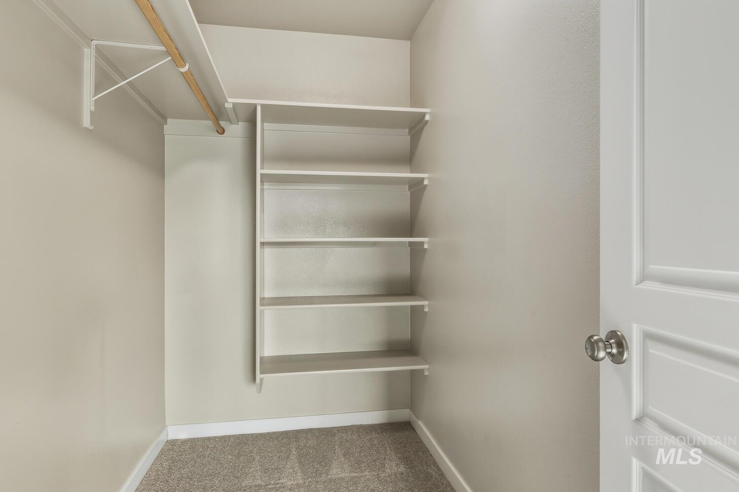 Spacious closet featuring carpet flooring