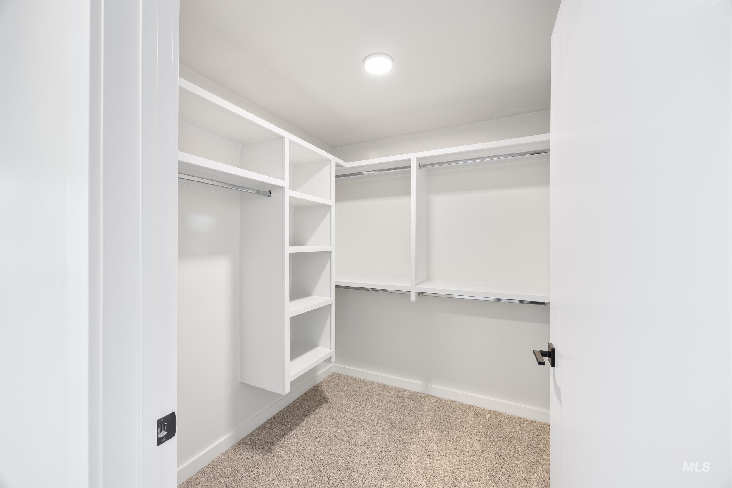 Walk in closet featuring light colored carpet
