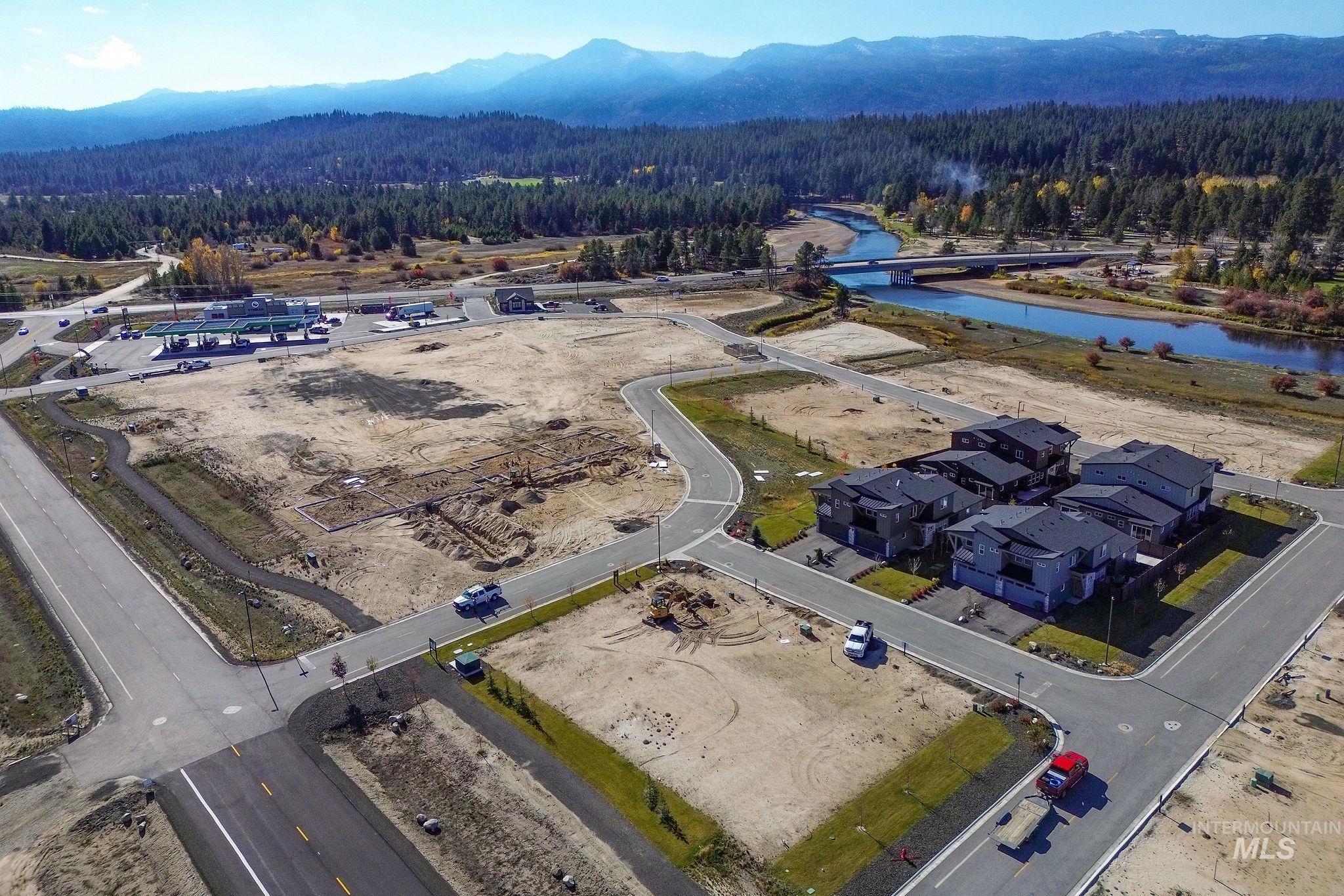 Aerial view of a forest and a water and mountain view