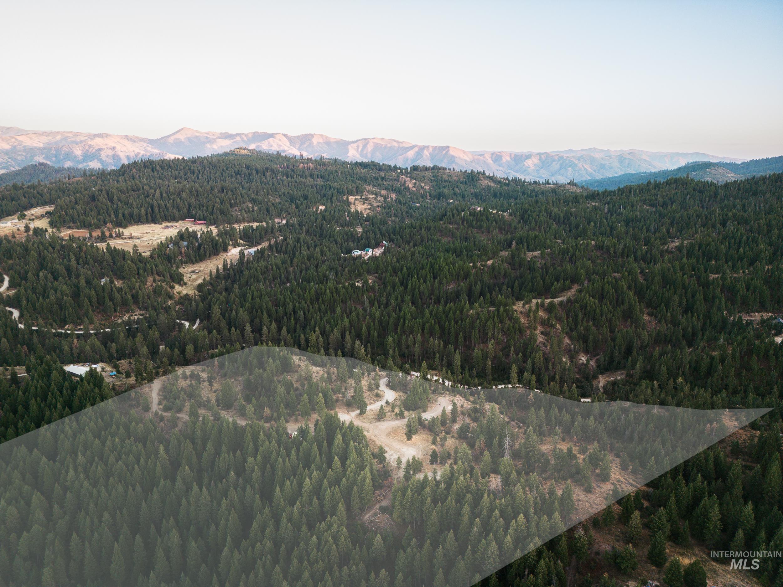 Bird's eye view of a mountain backdrop and a forest
