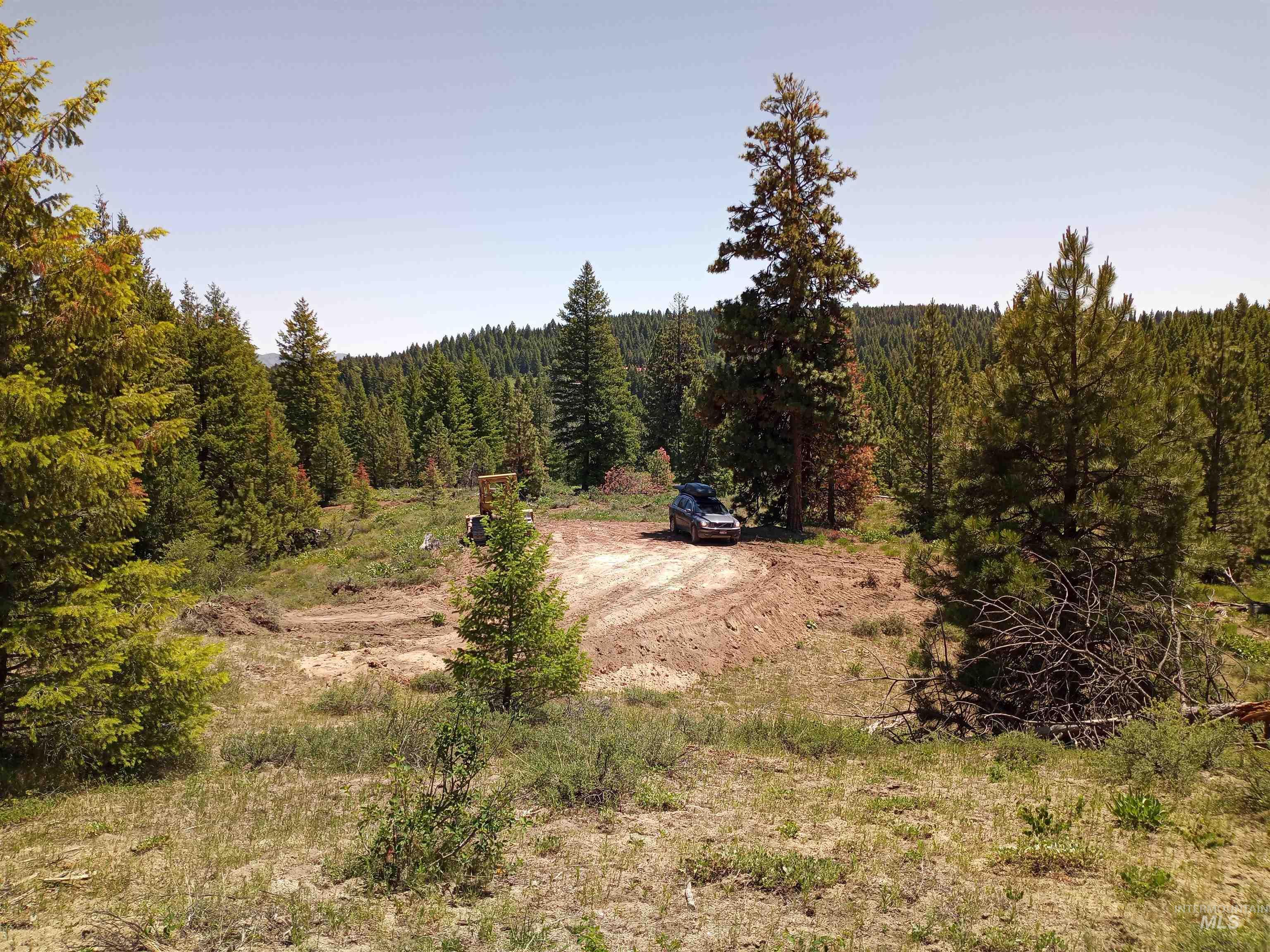 View of tree filled area