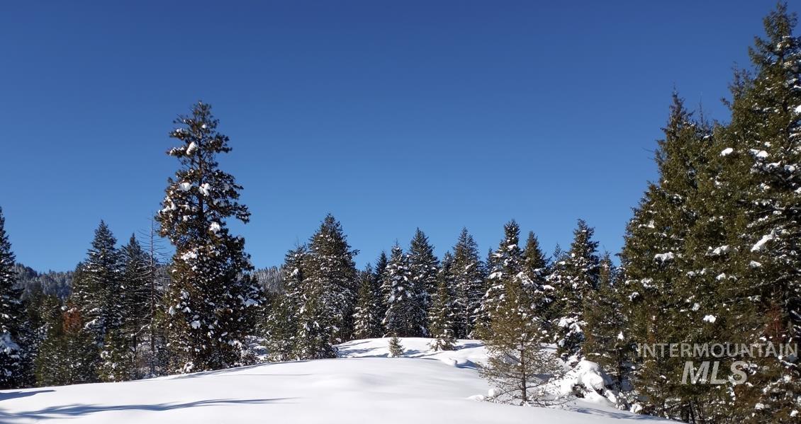View of mountain backdrop featuring a heavily wooded area