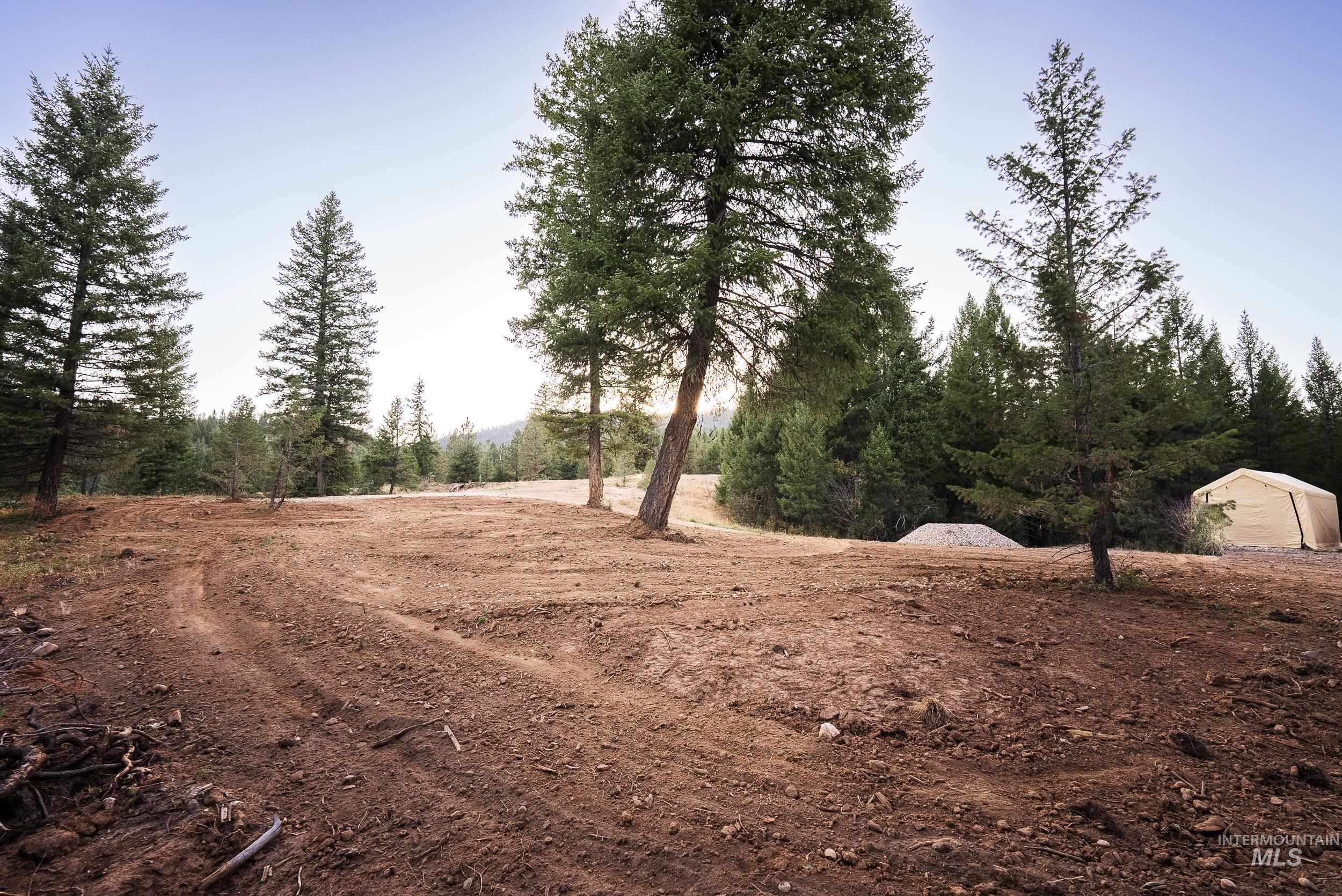View of tree filled area