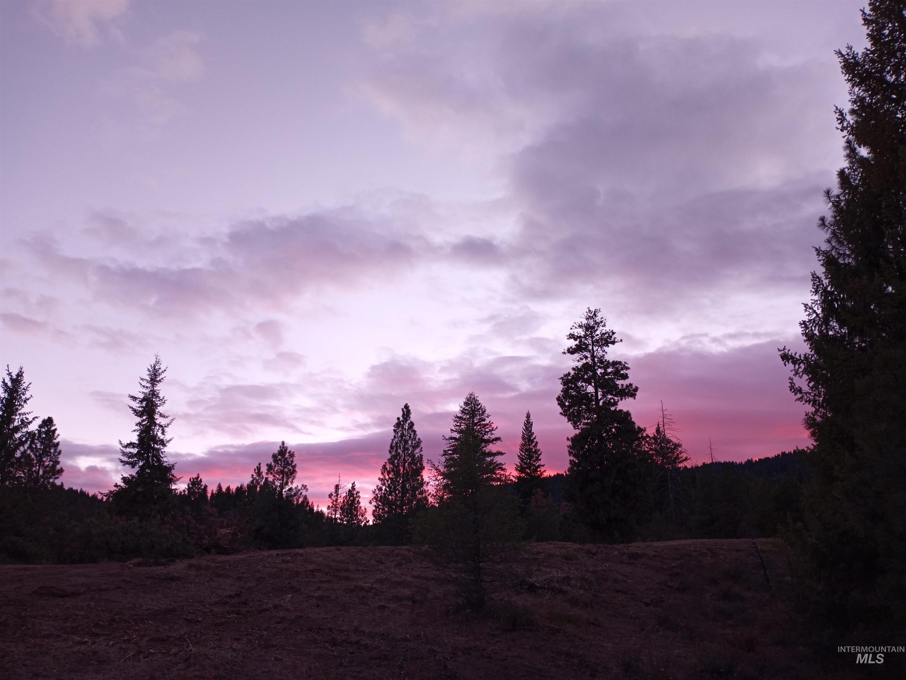 View of nature at dusk