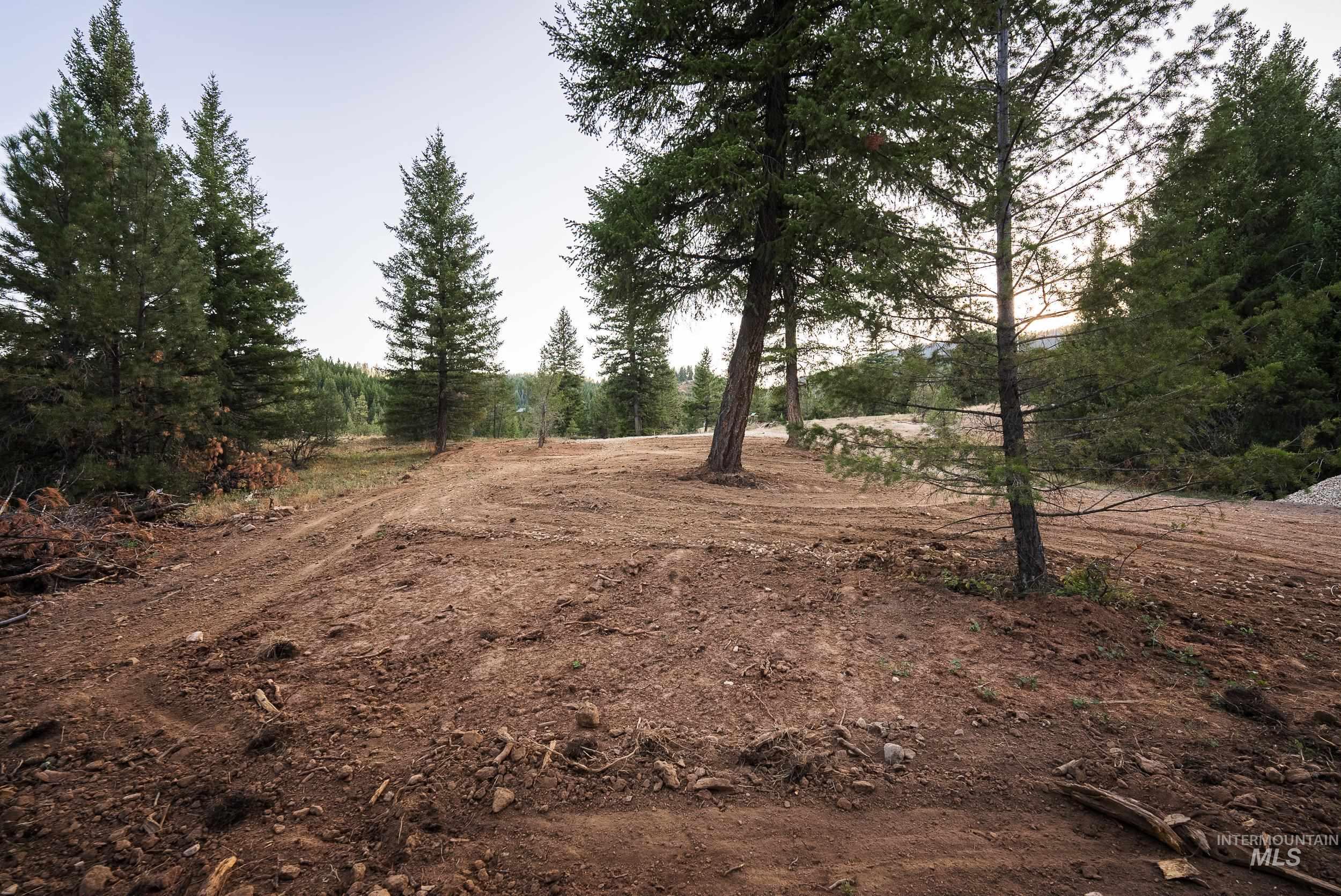 View of local wilderness