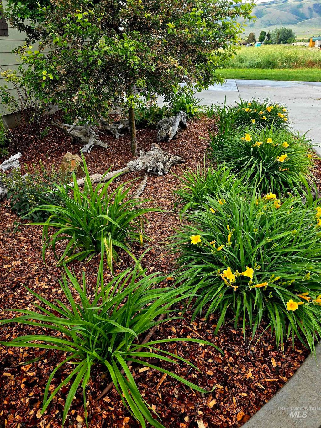 Photo of 515 School St, Albion, ID 83311 (MLS # 98966487)