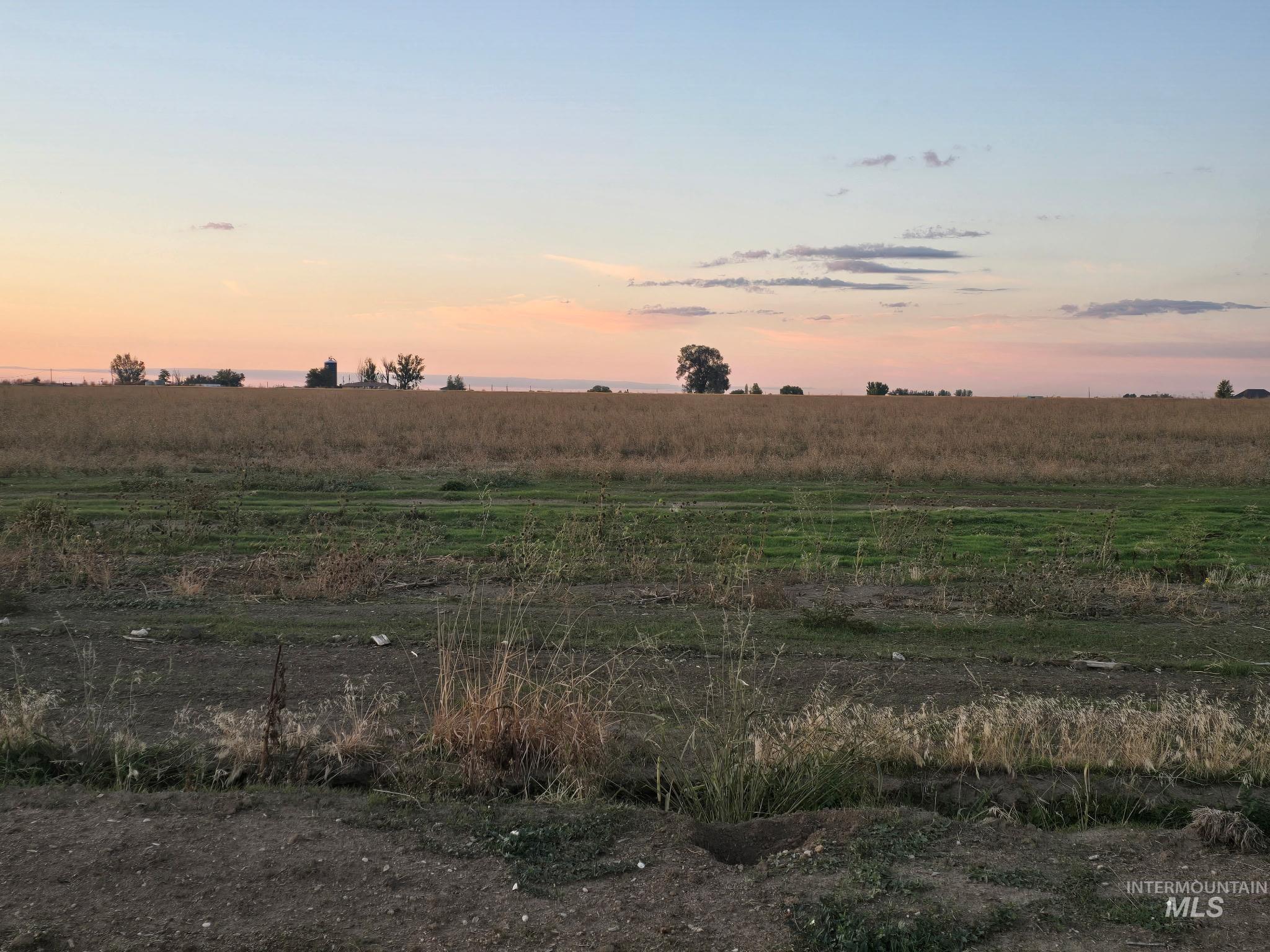 View of yard at dusk