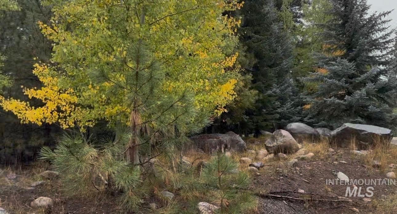 TBD Heavens Gate Ct.