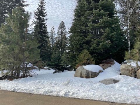 Photo of TBD Heavens Gate Ct, McCall, ID 83638 (MLS # 98974134)