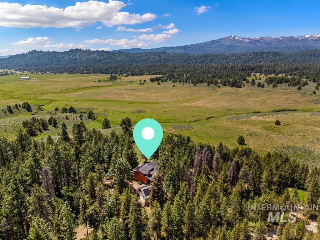Aerial view of a heavily wooded area and a mountain backdrop