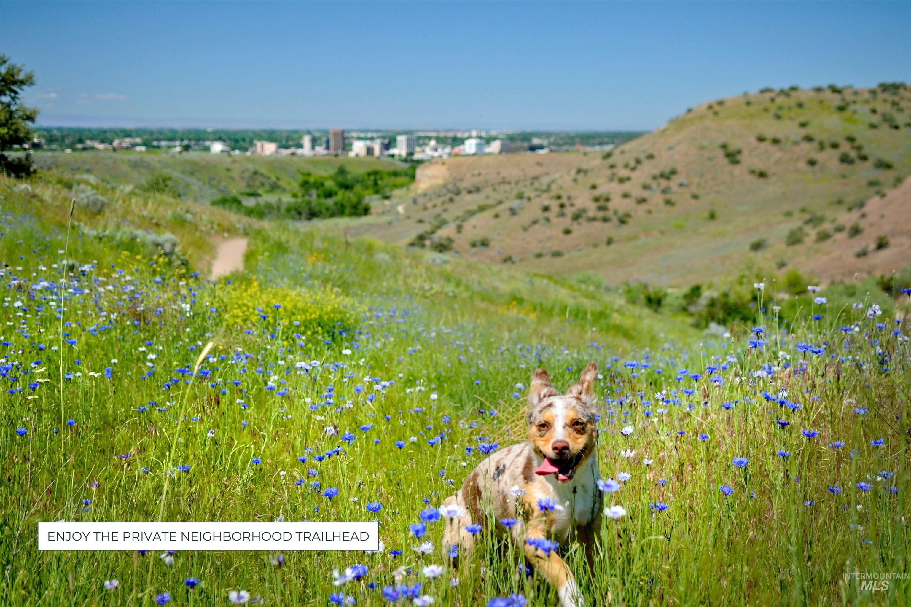 View of mountain backdrop featuring rural landscape