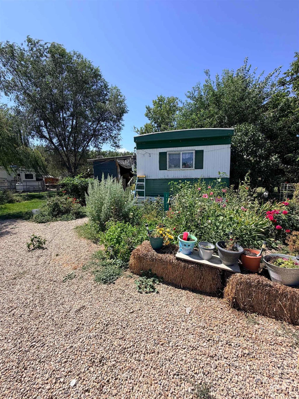 Photo of 3729 Pioneer Rd, Homedale, ID 83628 (MLS # 99002204)