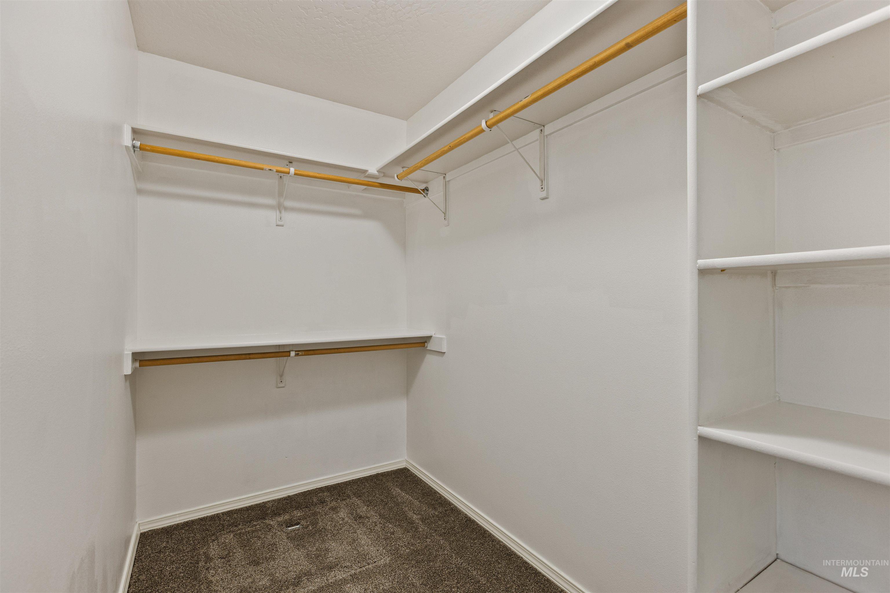 Spacious closet with dark colored carpet