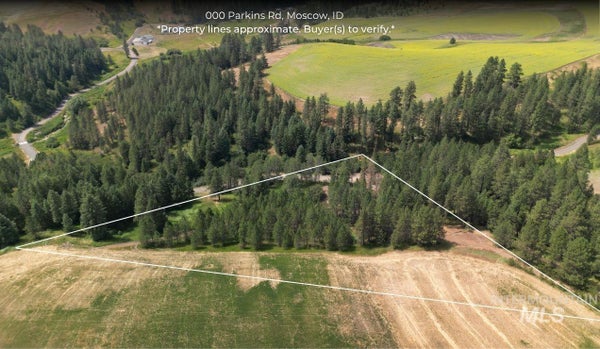 CANYON RD, MOSCOW, ID 83843 - Image 9d2bd6394c678257fa93b00daa16fec9/2812062846