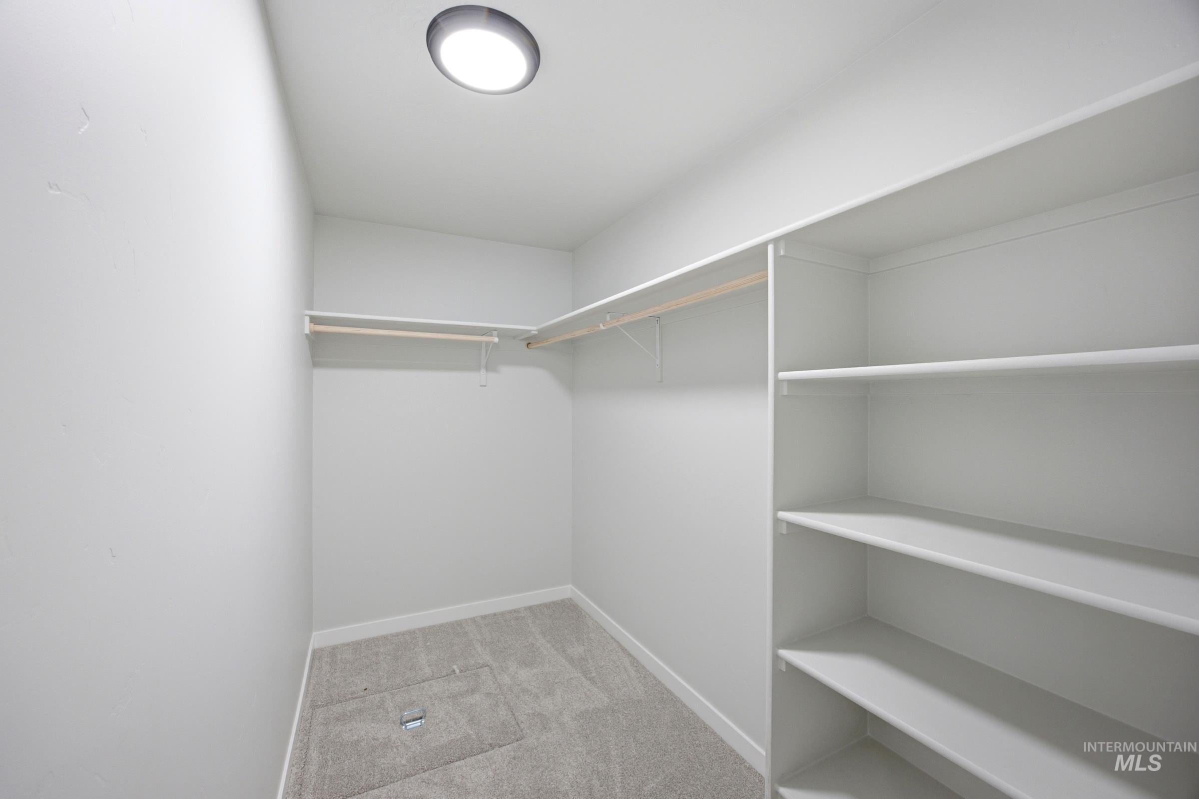 Walk-in closet featuring light gray carpeting, neutral wall paint, built-in shelving, and multiple clothing rods