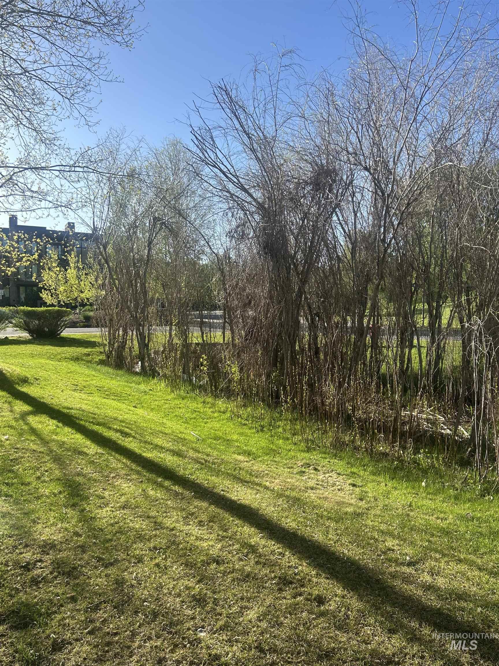Expansive green lawn with established shrubbery border