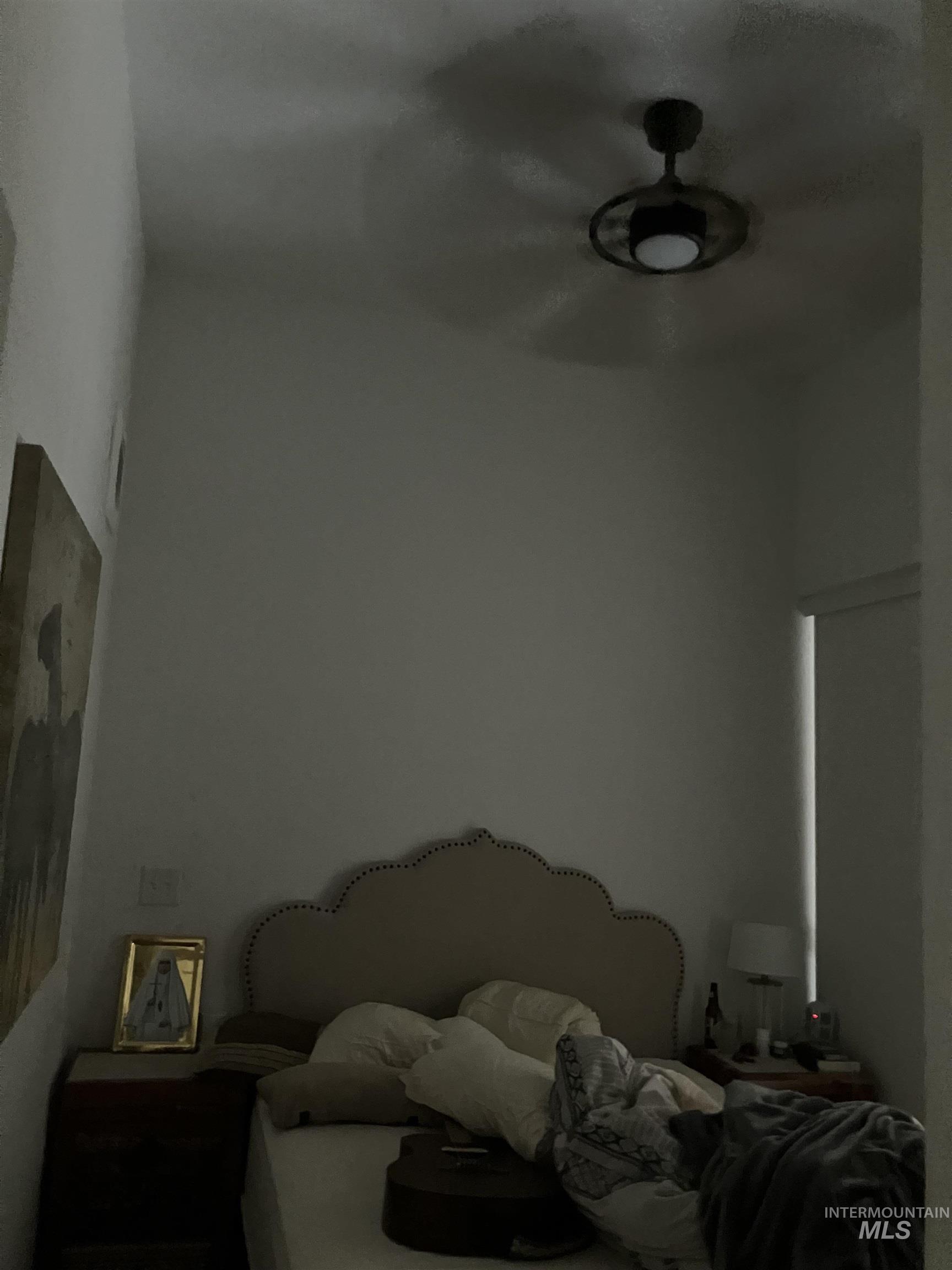 Image quality insufficient for description
