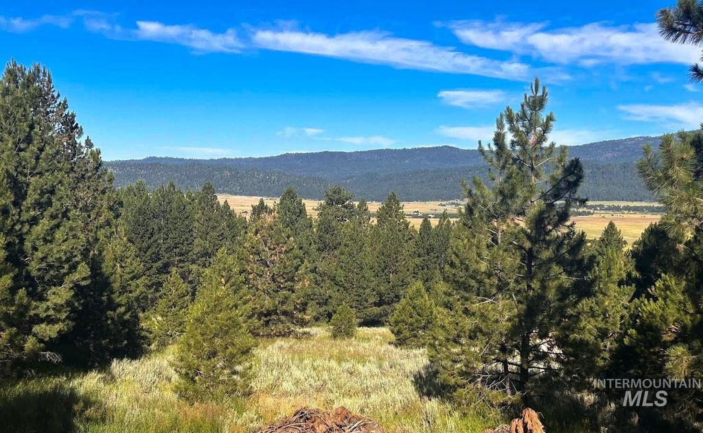 Photo of 10191 Timberrim Drive, Cascade, ID 83611 (MLS # 98980776)