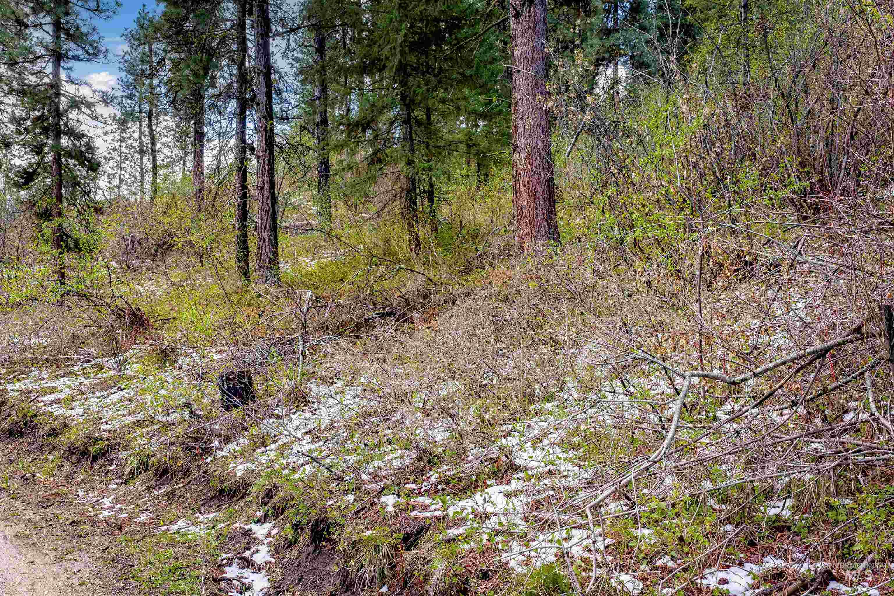 LOT #7 Turners Sub Division