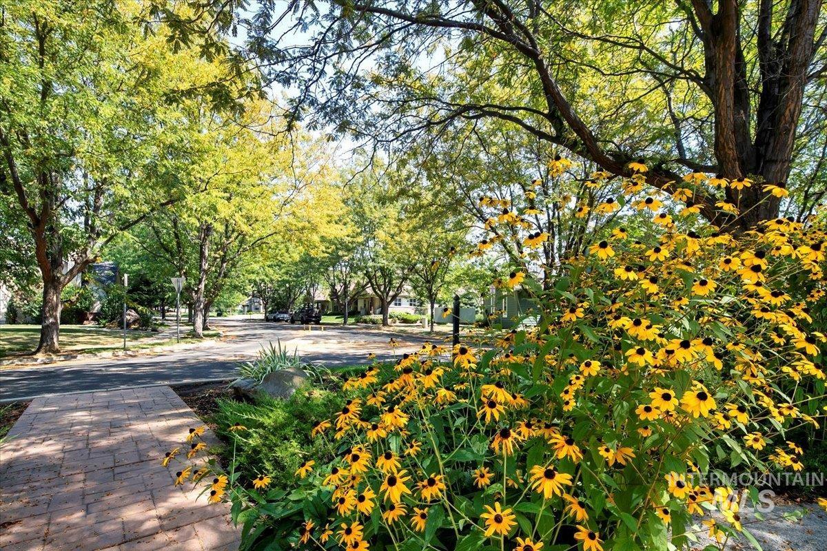 Lush shade landscaping throughtout