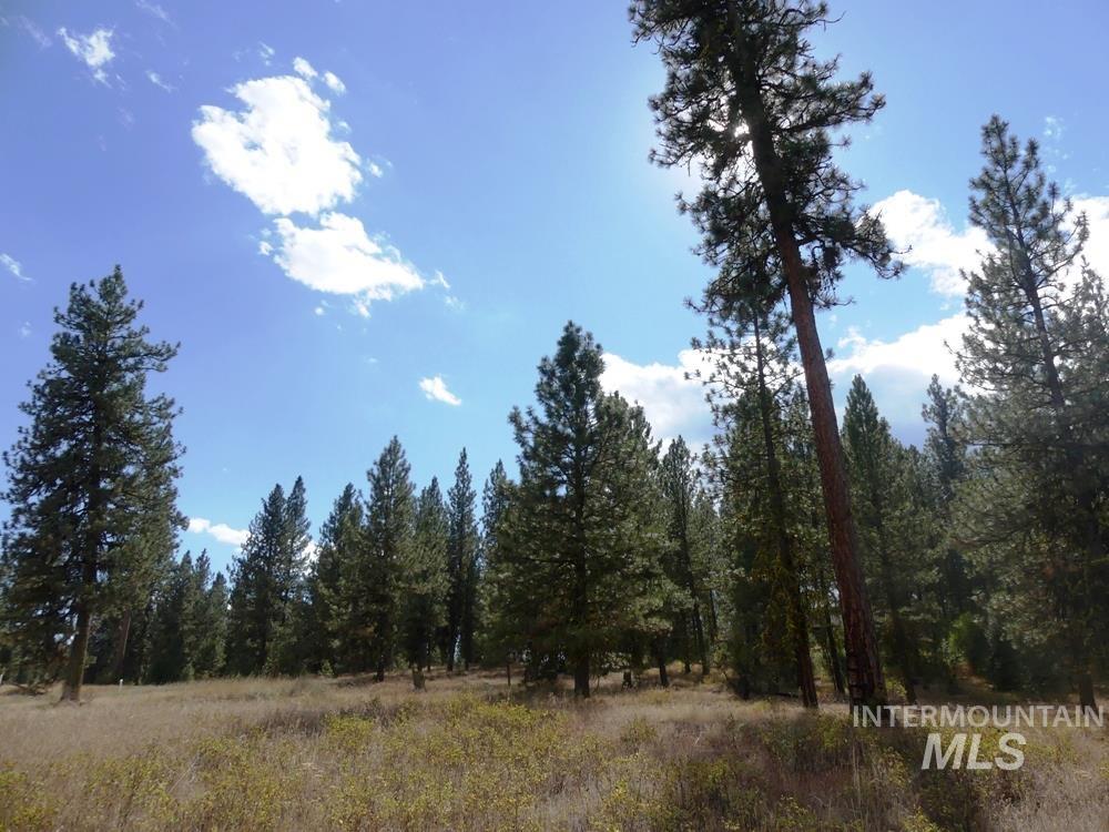 Lot 24 Timber Ridge, New Meadows, Idaho image 17