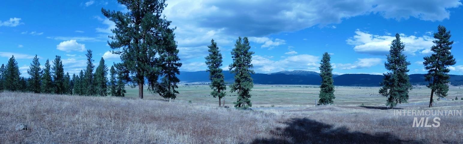 Lot 24 Timber Ridge, New Meadows, Idaho image 6