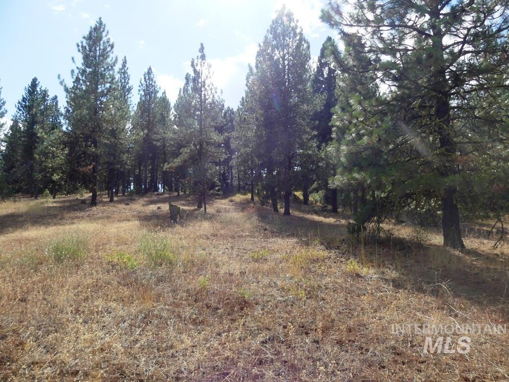 Lot 24 Timber Ridge, New Meadows, Idaho image 13