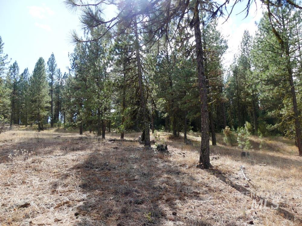 Lot 24 Timber Ridge, New Meadows, Idaho image 11