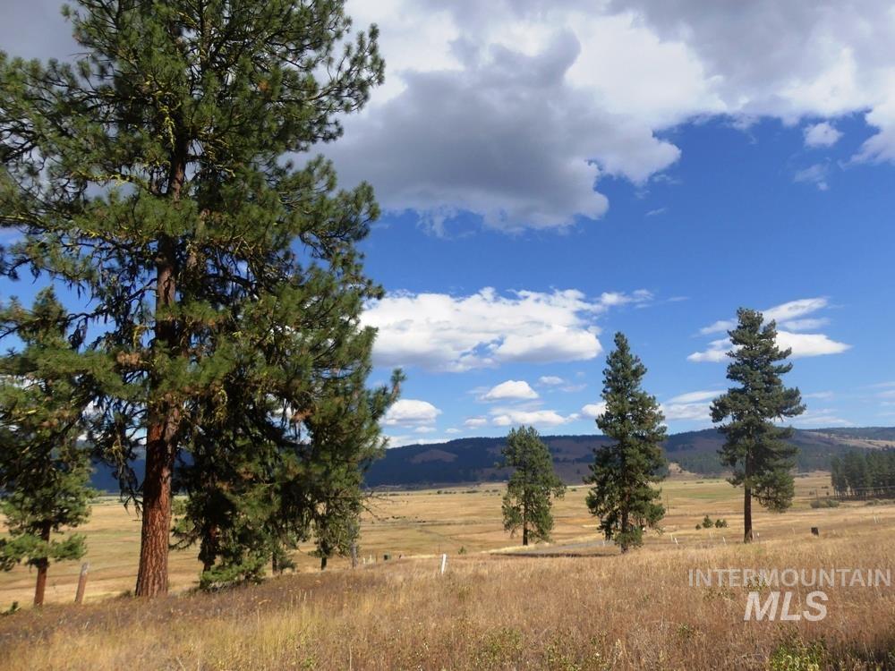 Lot 24 Timber Ridge, New Meadows, Idaho image 9