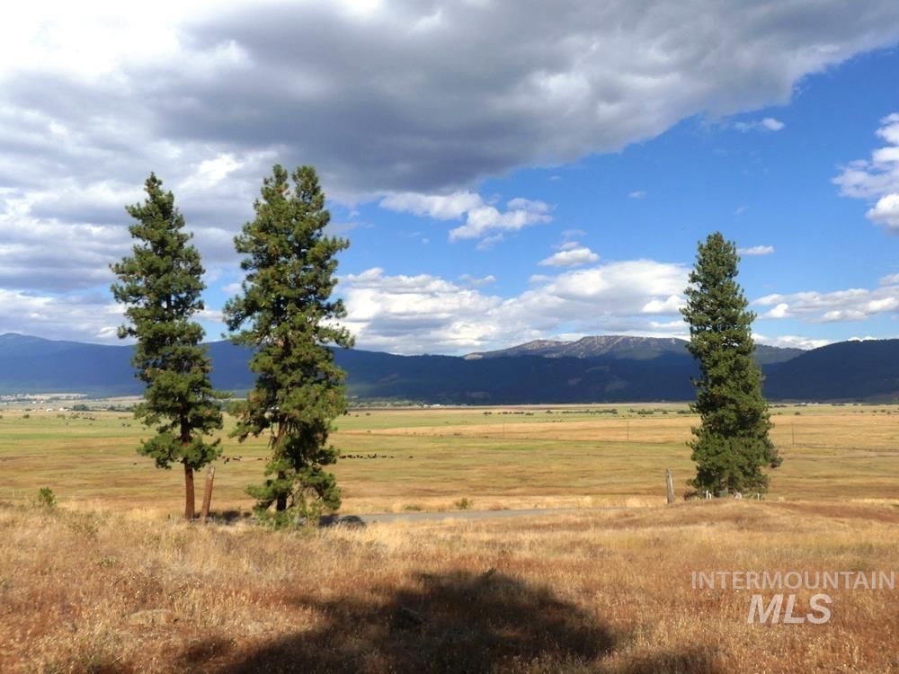 Lot 24 Timber Ridge, New Meadows, Idaho image 1