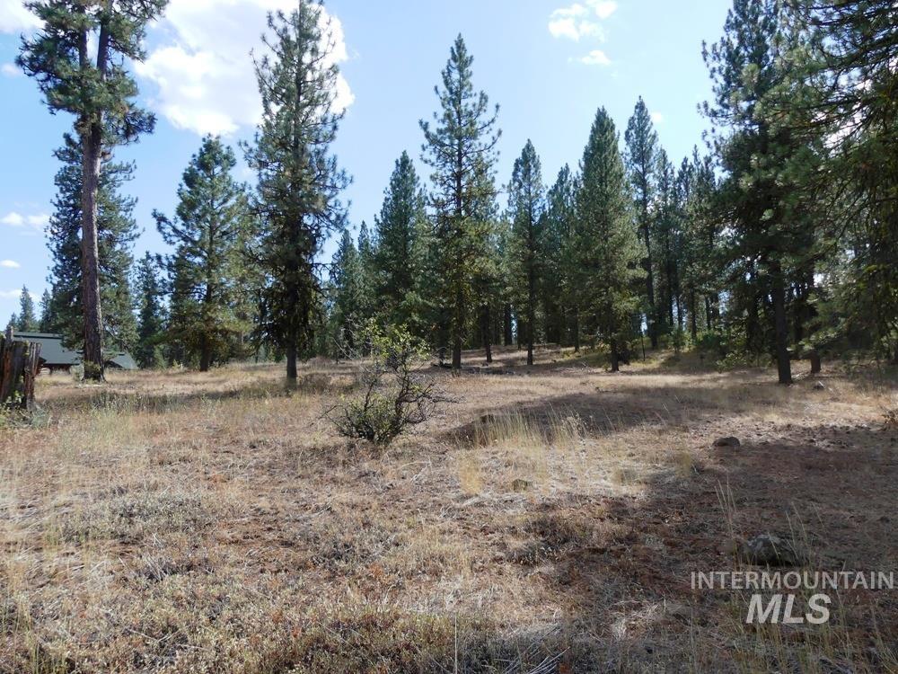 Lot 24 Timber Ridge, New Meadows, Idaho image 3