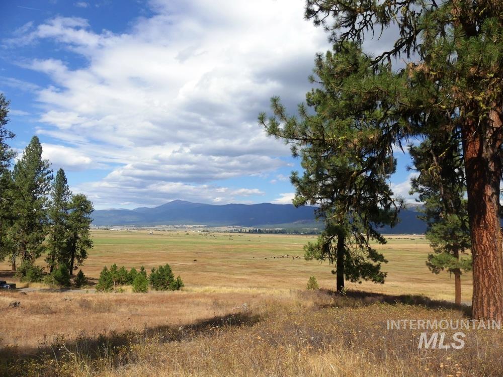 Lot 24 Timber Ridge, New Meadows, Idaho image 10