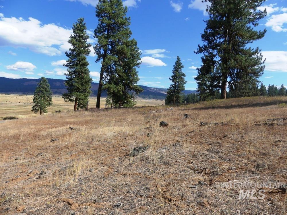 Lot 24 Timber Ridge, New Meadows, Idaho image 5