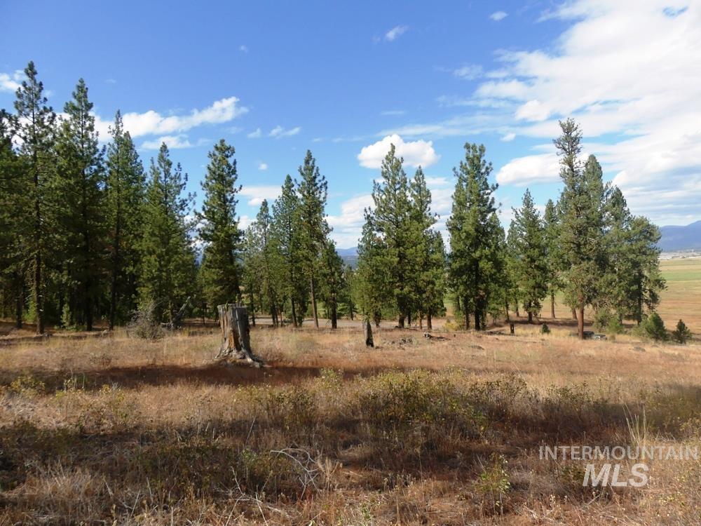 Lot 24 Timber Ridge, New Meadows, Idaho image 12