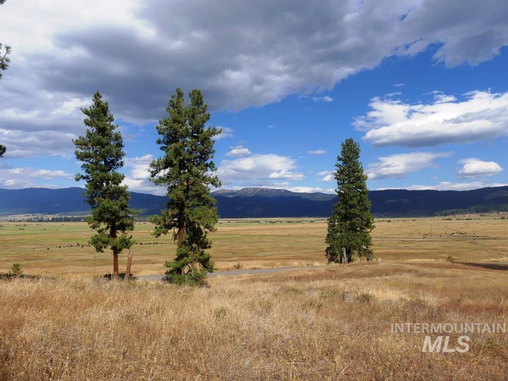 Lot 24 Timber Ridge, New Meadows, Idaho image 16