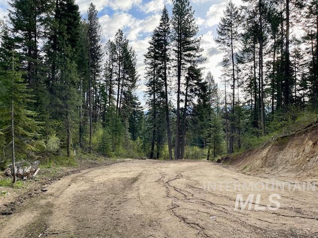 View of dirt / gravel road with a wooded view